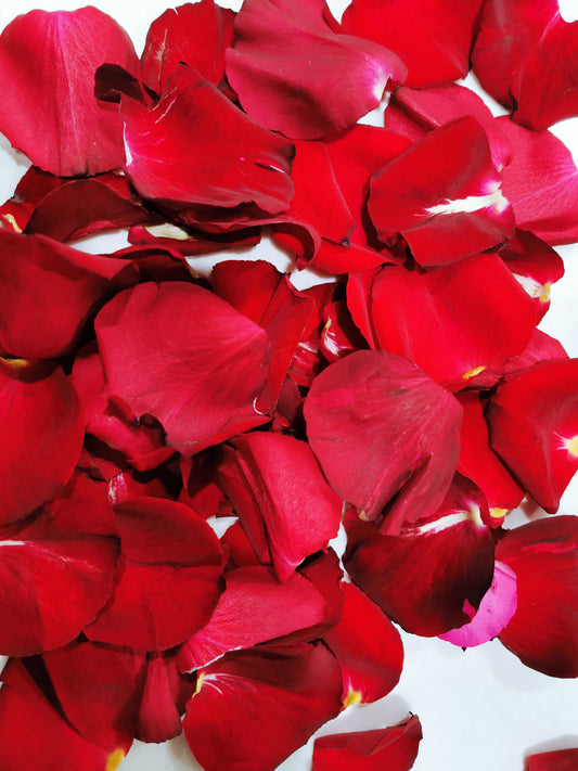 Roses petals