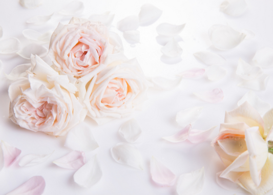 Anniversary Flowers