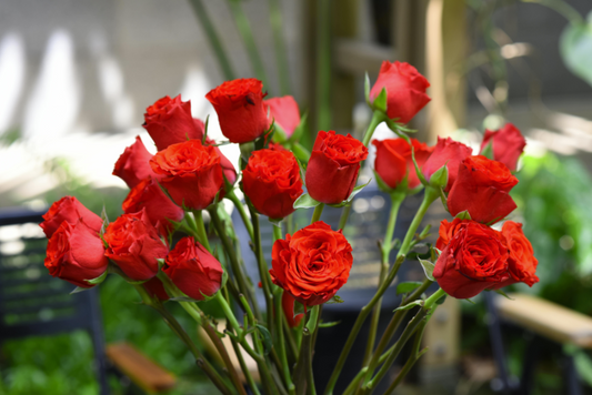 How to Choose the Right Bouquet for Any Occasion in Truganina
