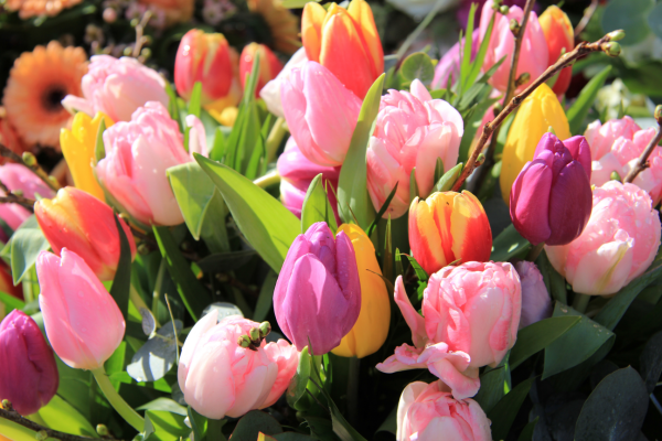 Flowers Can Improve Your Mood