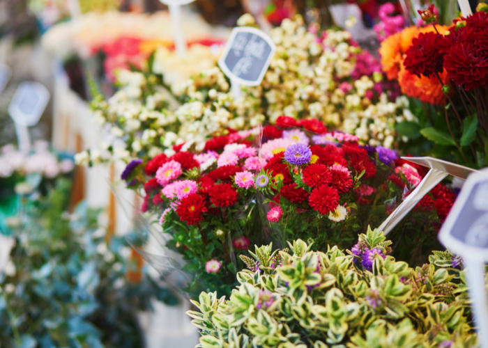 local flowers Tarneit