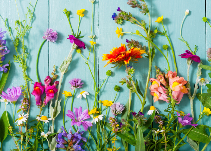 Health Benefits of Flowers