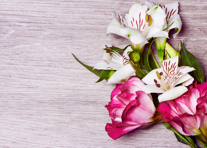 Symbolic Flowers for Every Occasion