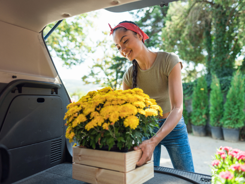 Online Flower Delivery