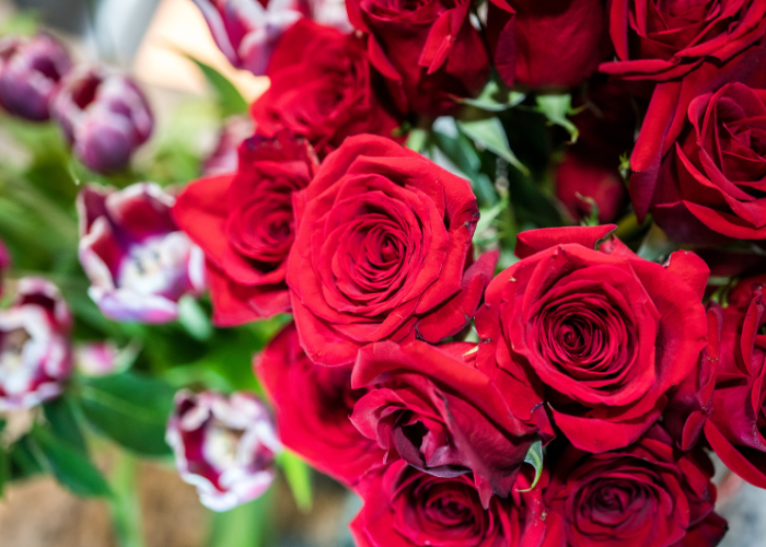 Unique Valentine's Day Flower Ideas for Every Budget