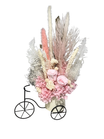 Preserved Flower in A Bicycle Pot
