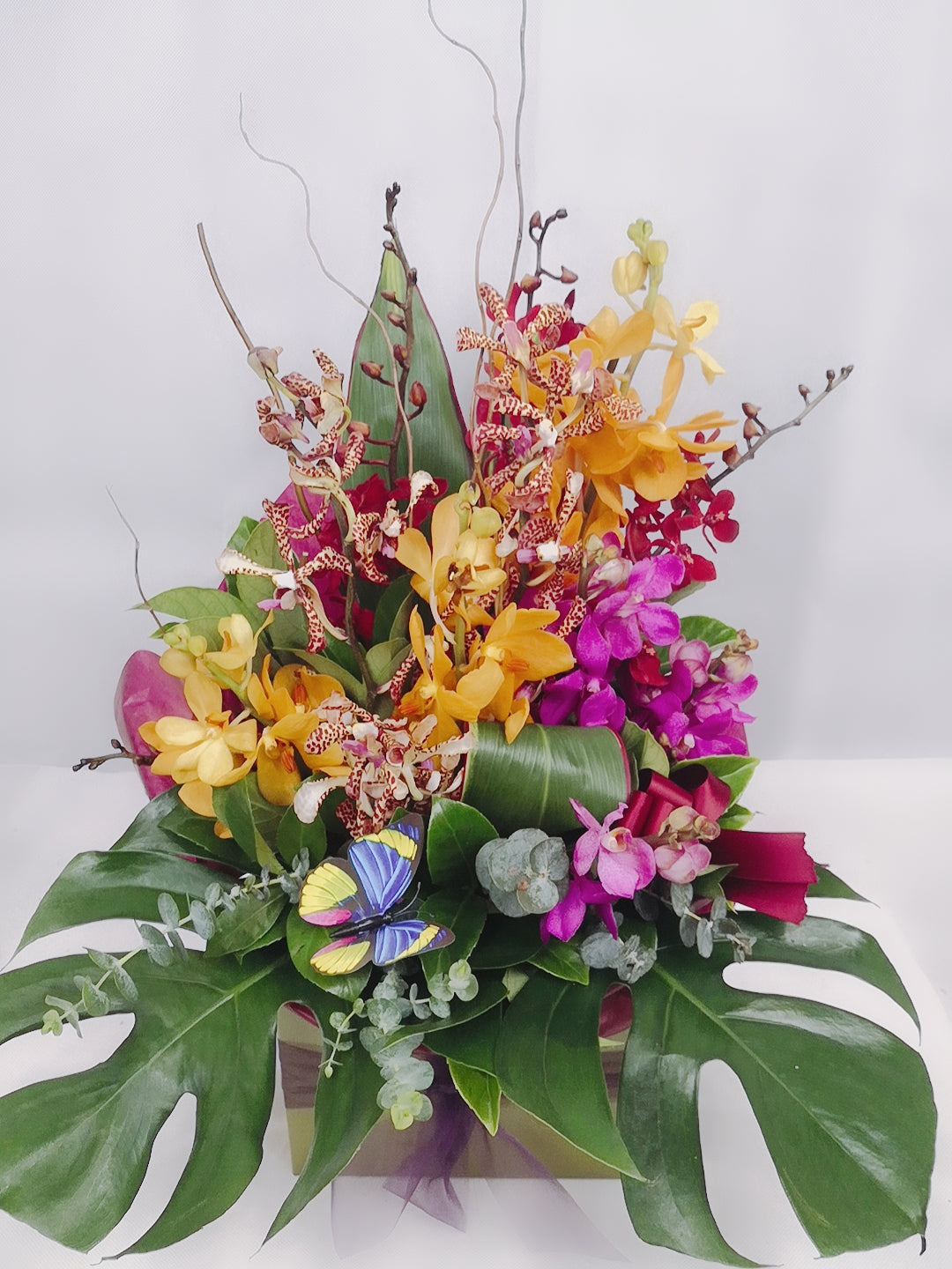 Orchid Mix Box Arrangement