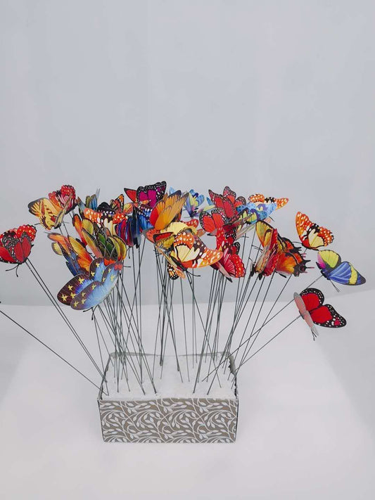 Butterfly Decoration